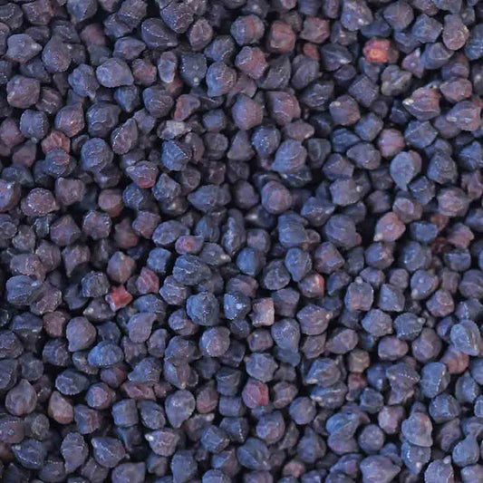 Rancho Gordo Heirloom Black Garbanzo Beans, 1lb