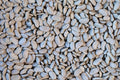 Rancho Gordo Cassoulet (Tarbais) Bean 1lb
