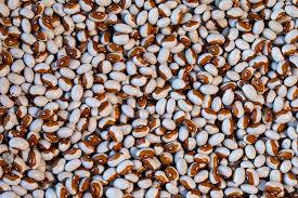 Rancho Gordo Yellow Eye Bean 1lb