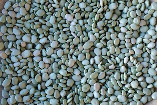 Rancho Gordo Green Baby Lima Bean 1lb