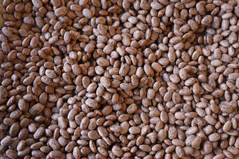 Rancho Gordo Pinto Beans, 1lb