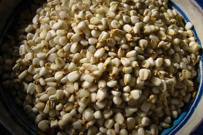 Rancho Gordo White Corn Posole/Prepared Hominy 1lb